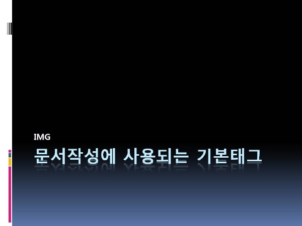 사용자 삽입 이미지
